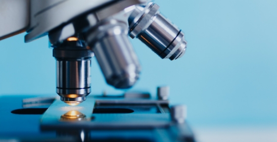 CHMP emite opinião positiva para cemiplimab no tratamento do carcinoma espinocelular cutâneo avançado (CEa)