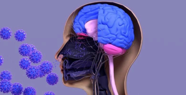 Disfunção olfativa como marcador acessível de fragilidade em doentes com cancro da cabeça e pescoço