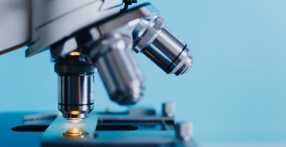 Mais casos de cancro de pele detetados em doentes tratados com mebutato de ingenol