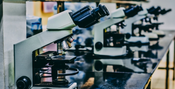 Considera que existem benefícios na pesquisa de mutações no gene BRAF nos doentes com cancro colorretal metastático?