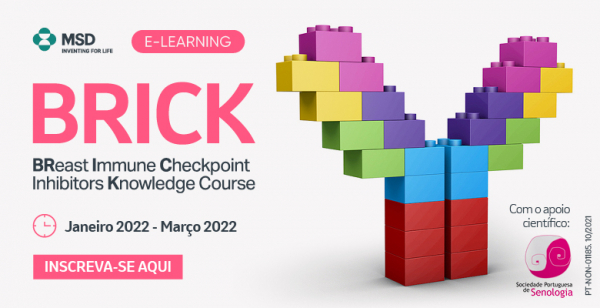 Terceiro módulo do E-learning BRICK começa já amanhã